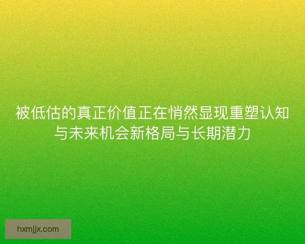 被低估的真正价值正在悄然显现重塑认知与未来机会新格局与长期潜力